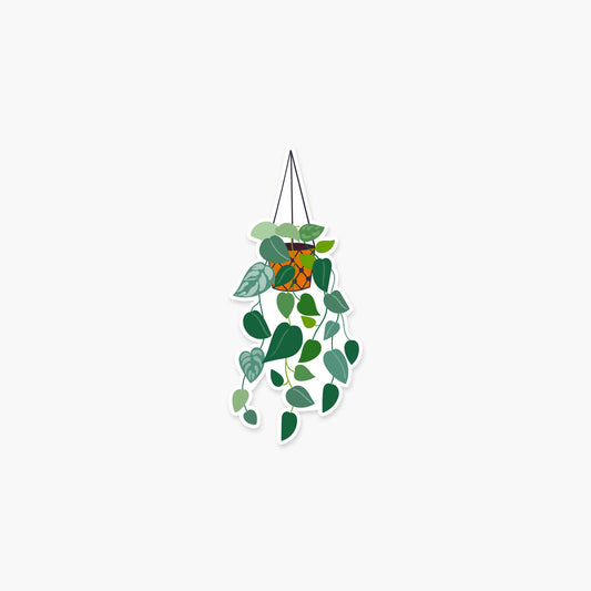Hanging Pothos Plant Sticker